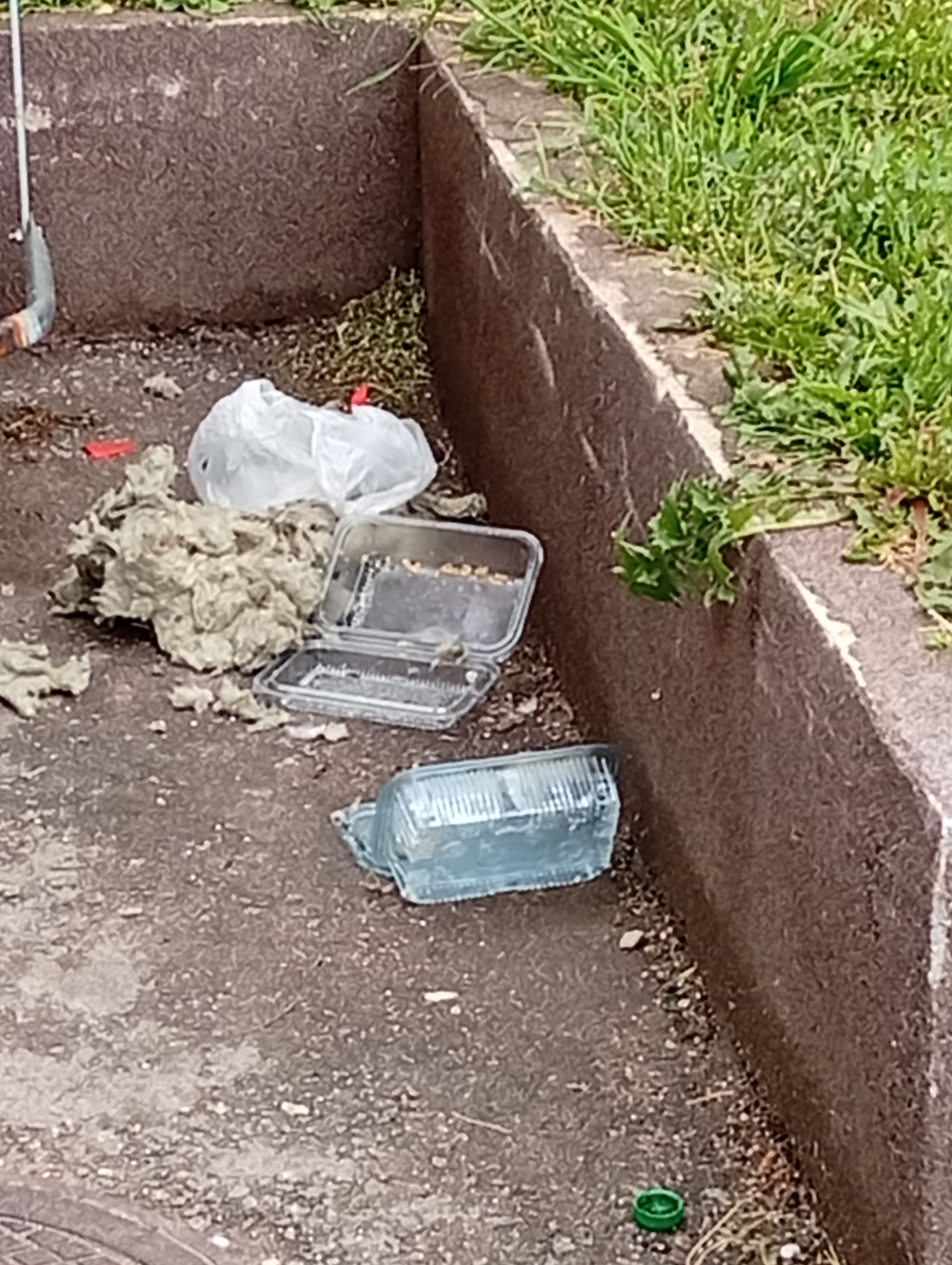 eko problem