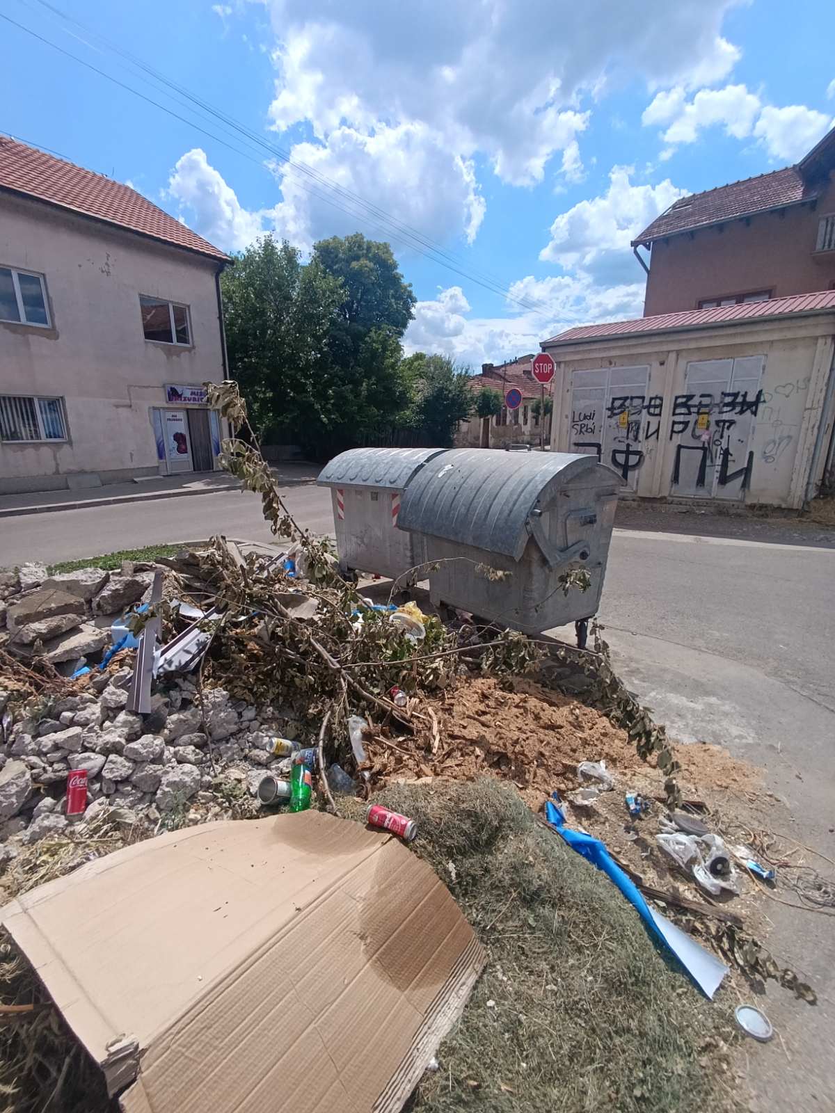 eko problem