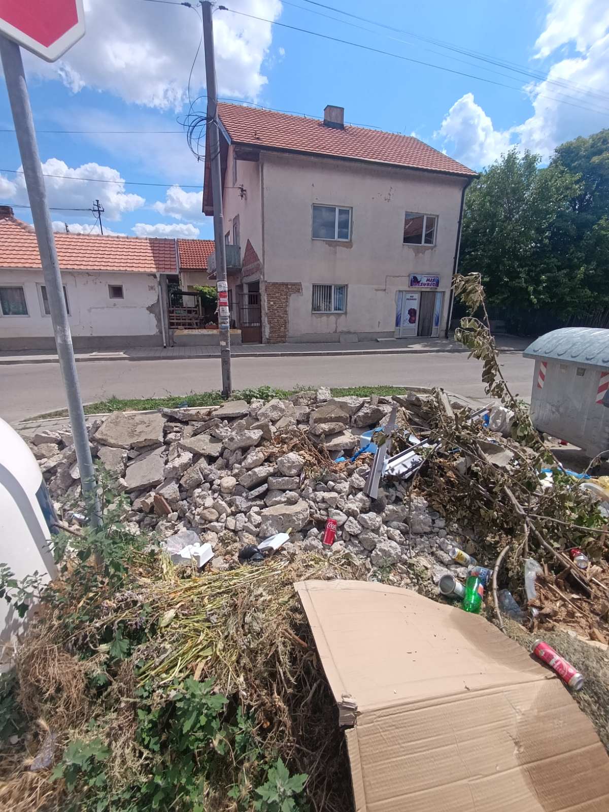 eko problem